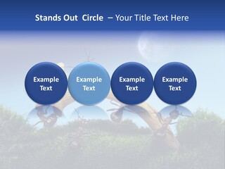 Moon Spaceman Ejection PowerPoint Template