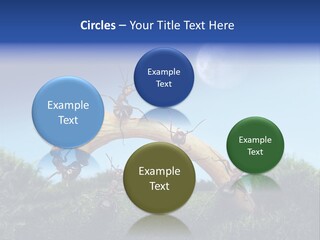 Moon Spaceman Ejection PowerPoint Template