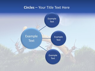 Moon Spaceman Ejection PowerPoint Template