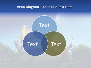 Moon Spaceman Ejection PowerPoint Template