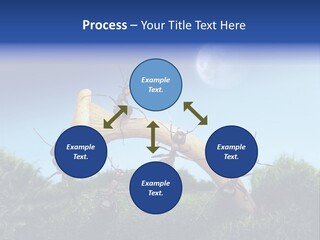 Moon Spaceman Ejection PowerPoint Template