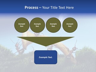 Moon Spaceman Ejection PowerPoint Template