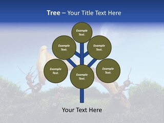 Moon Spaceman Ejection PowerPoint Template