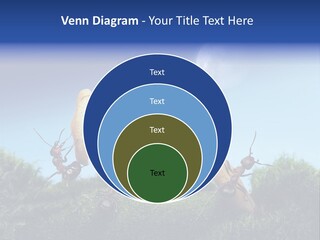Moon Spaceman Ejection PowerPoint Template