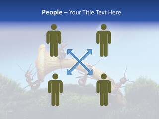 Moon Spaceman Ejection PowerPoint Template