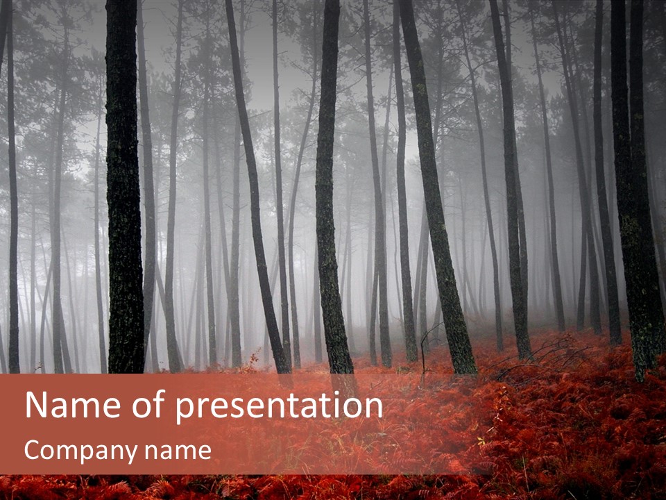 A Foggy Forest With Red Leaves On The Ground PowerPoint Template