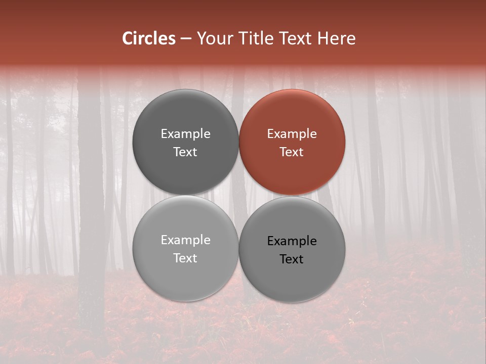 A Foggy Forest With Red Leaves On The Ground PowerPoint Template