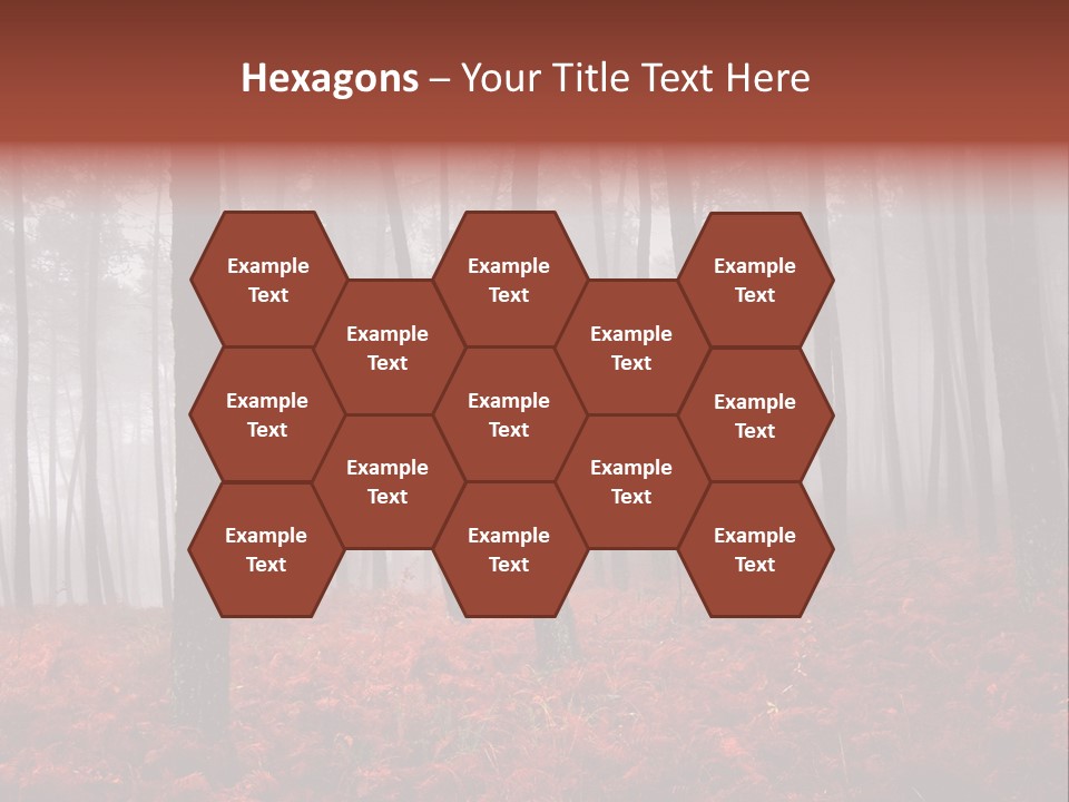 A Foggy Forest With Red Leaves On The Ground PowerPoint Template