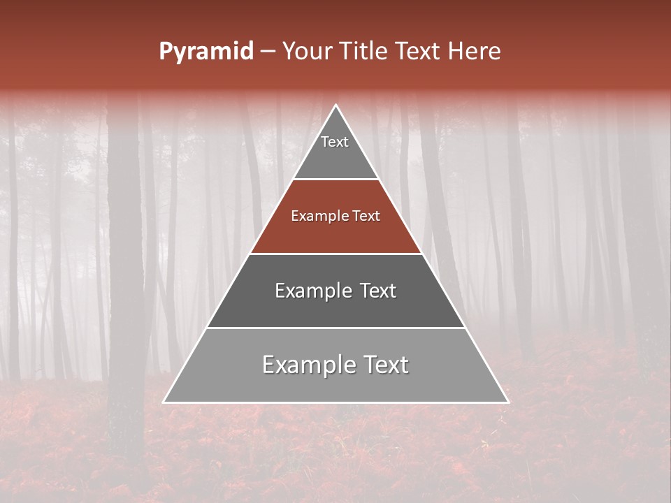 A Foggy Forest With Red Leaves On The Ground PowerPoint Template