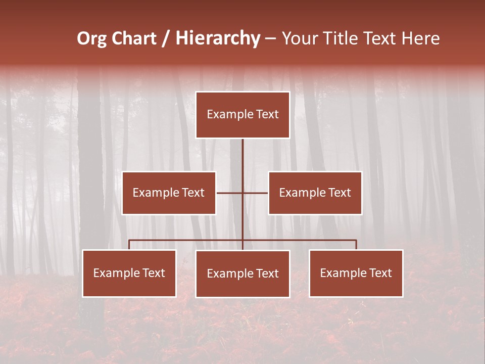 A Foggy Forest With Red Leaves On The Ground PowerPoint Template