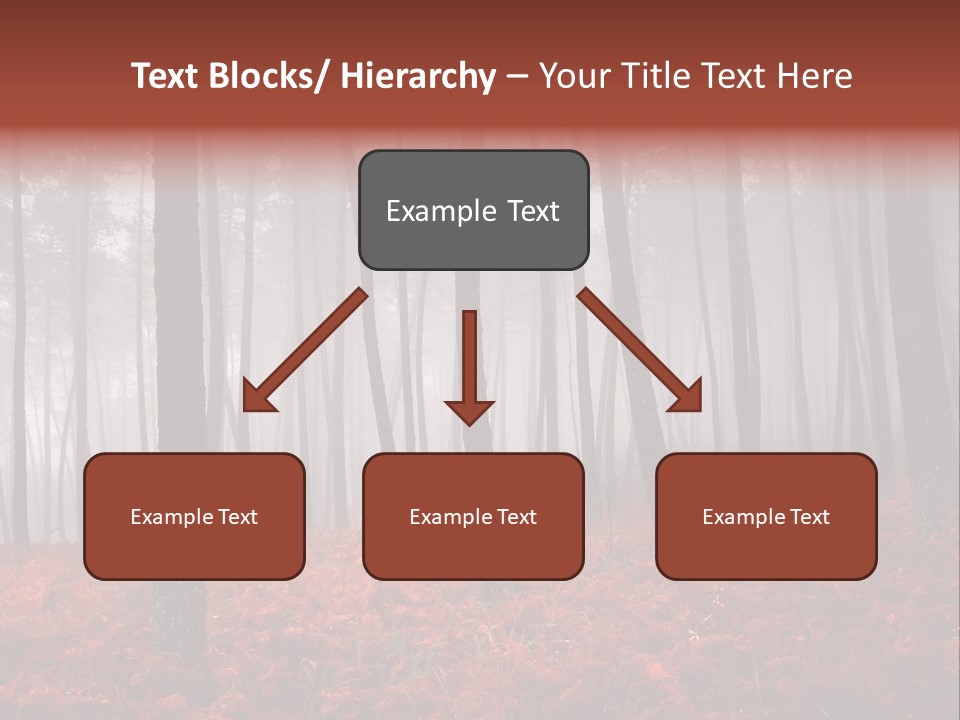 A Foggy Forest With Red Leaves On The Ground PowerPoint Template