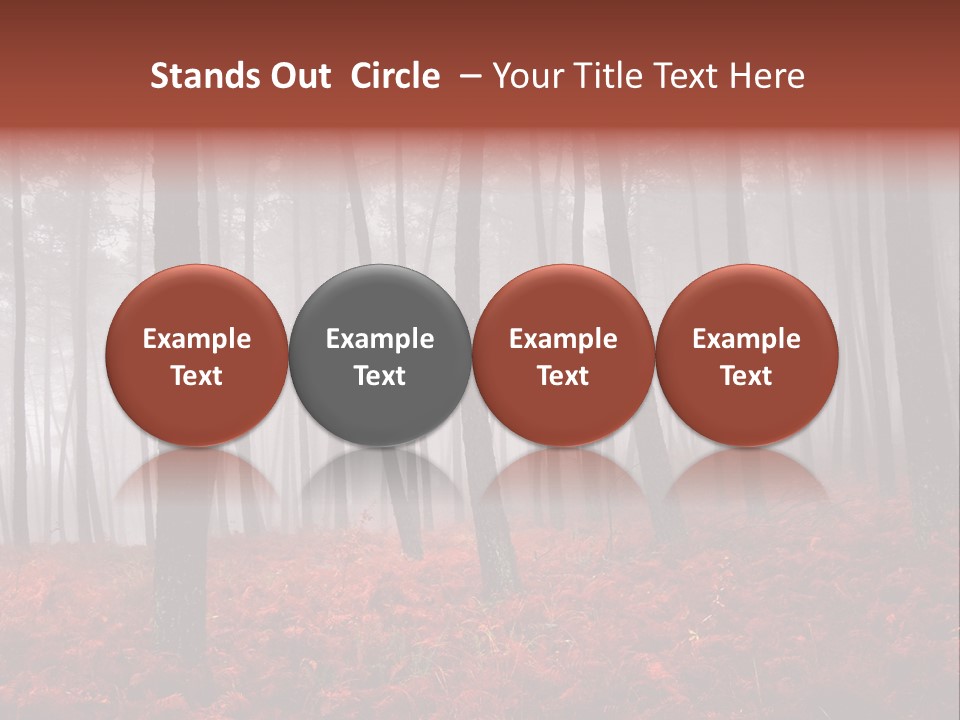 A Foggy Forest With Red Leaves On The Ground PowerPoint Template