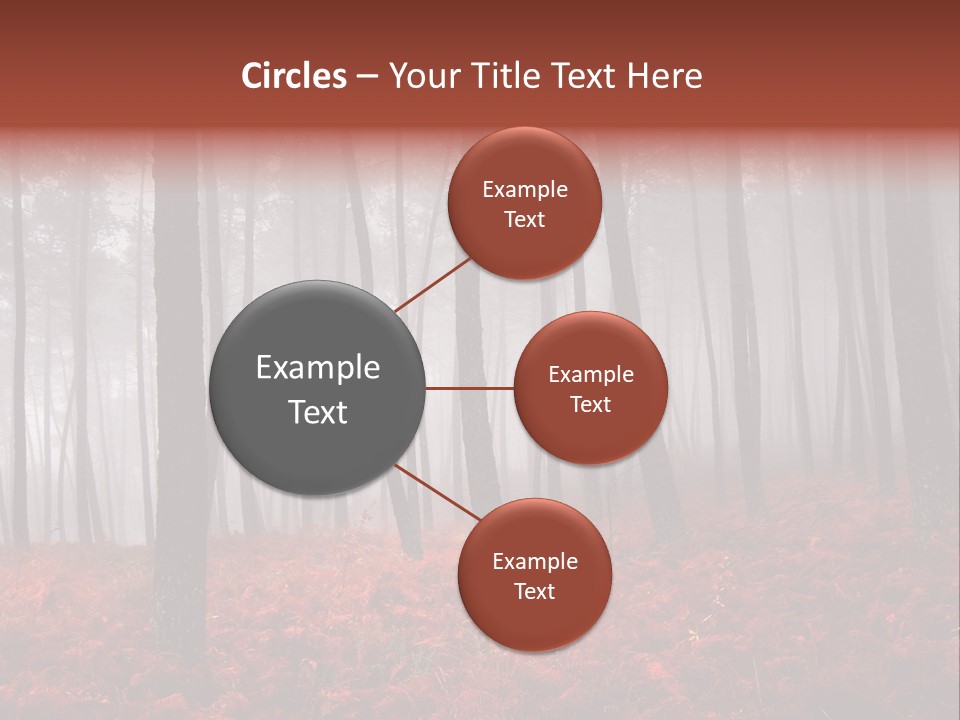 A Foggy Forest With Red Leaves On The Ground PowerPoint Template