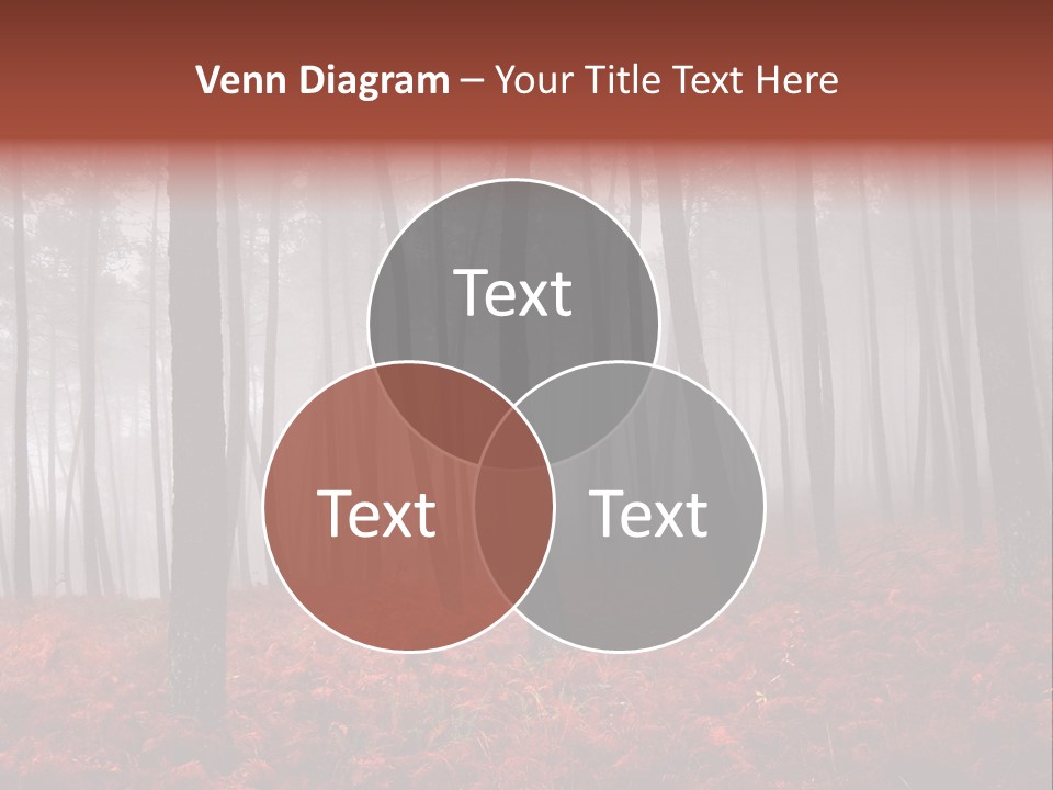 A Foggy Forest With Red Leaves On The Ground PowerPoint Template