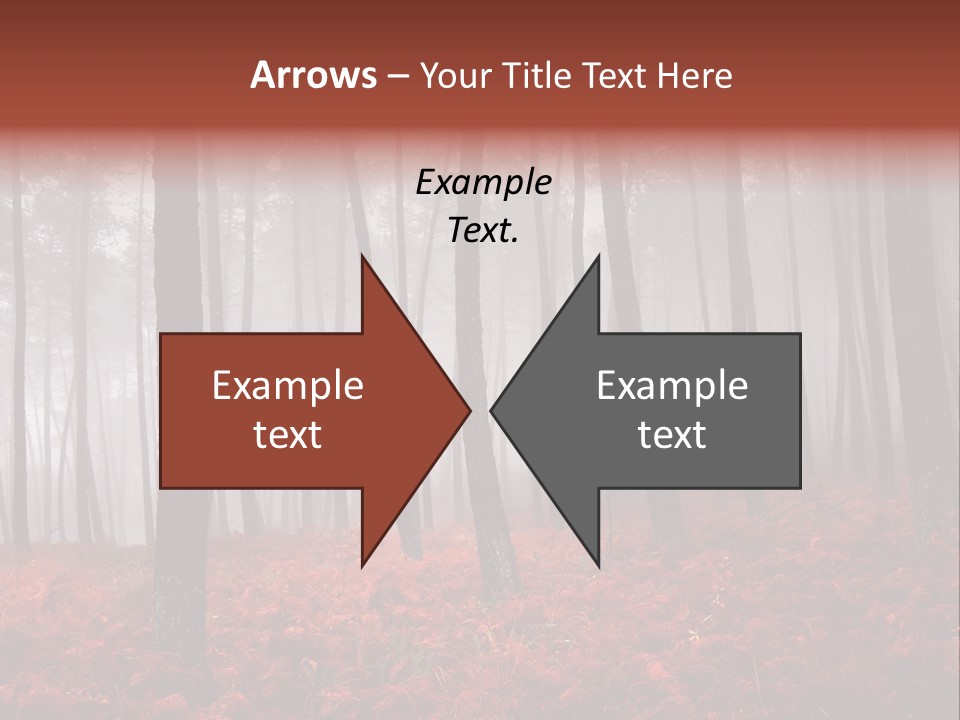 A Foggy Forest With Red Leaves On The Ground PowerPoint Template