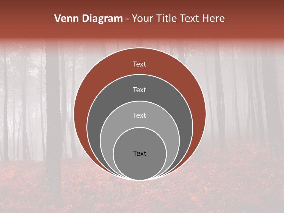 A Foggy Forest With Red Leaves On The Ground PowerPoint Template