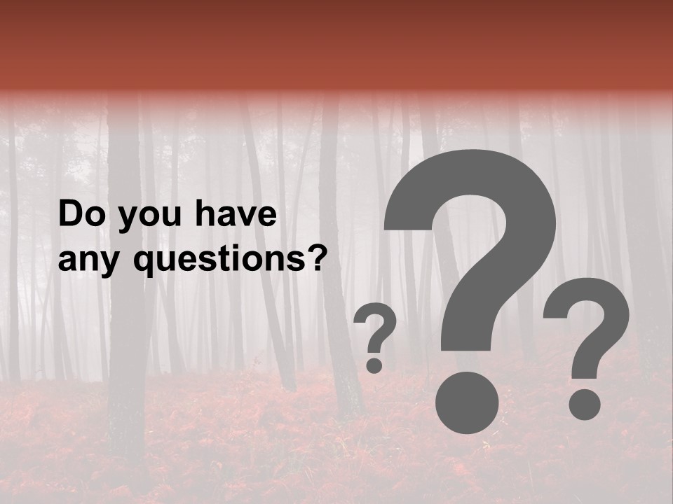 A Foggy Forest With Red Leaves On The Ground PowerPoint Template