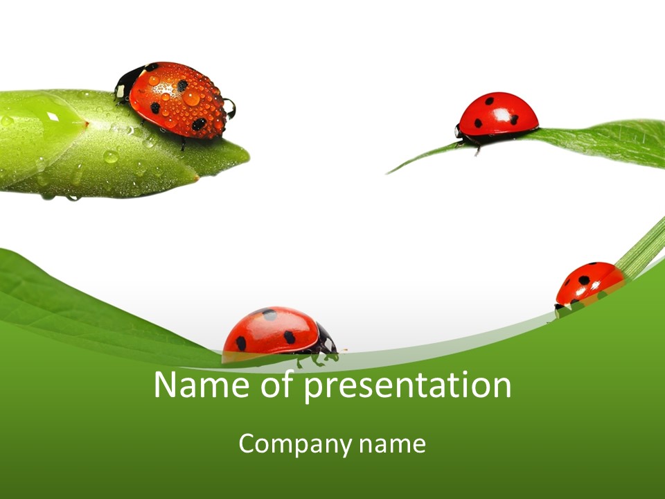 Decorate Fantasy Classic PowerPoint Template