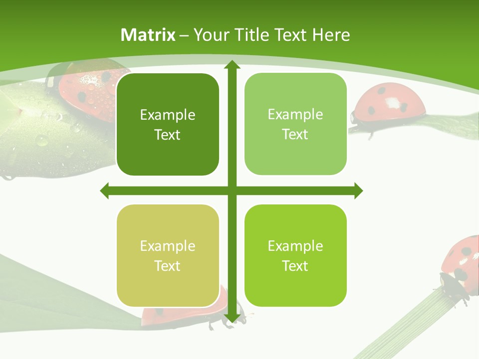 Decorate Fantasy Classic PowerPoint Template