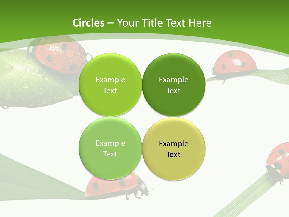 Decorate Fantasy Classic PowerPoint Template