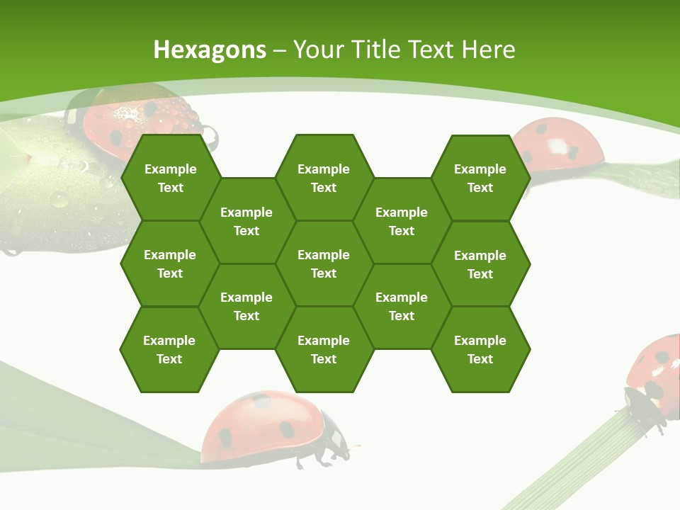 Decorate Fantasy Classic PowerPoint Template