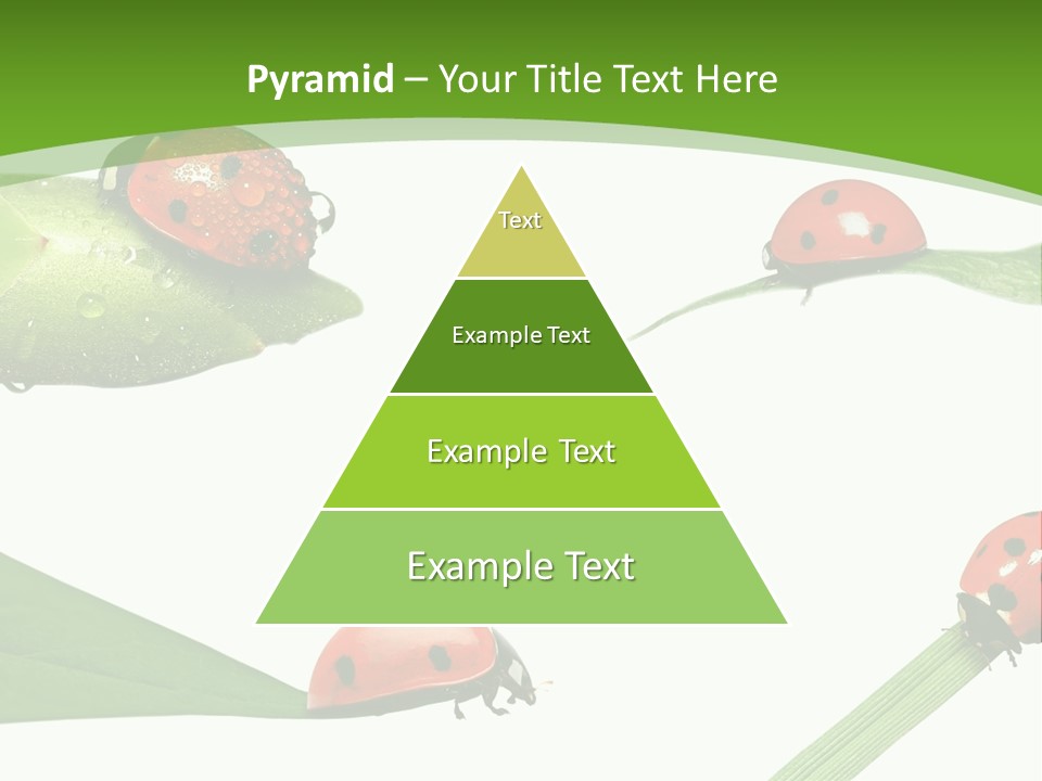 Decorate Fantasy Classic PowerPoint Template