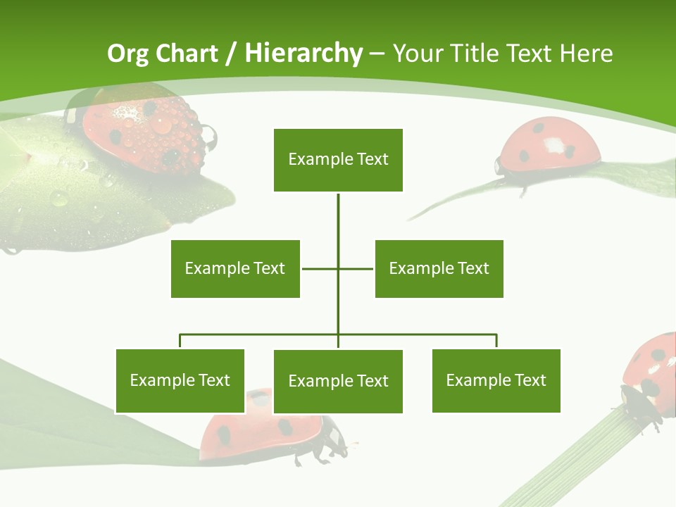 Decorate Fantasy Classic PowerPoint Template