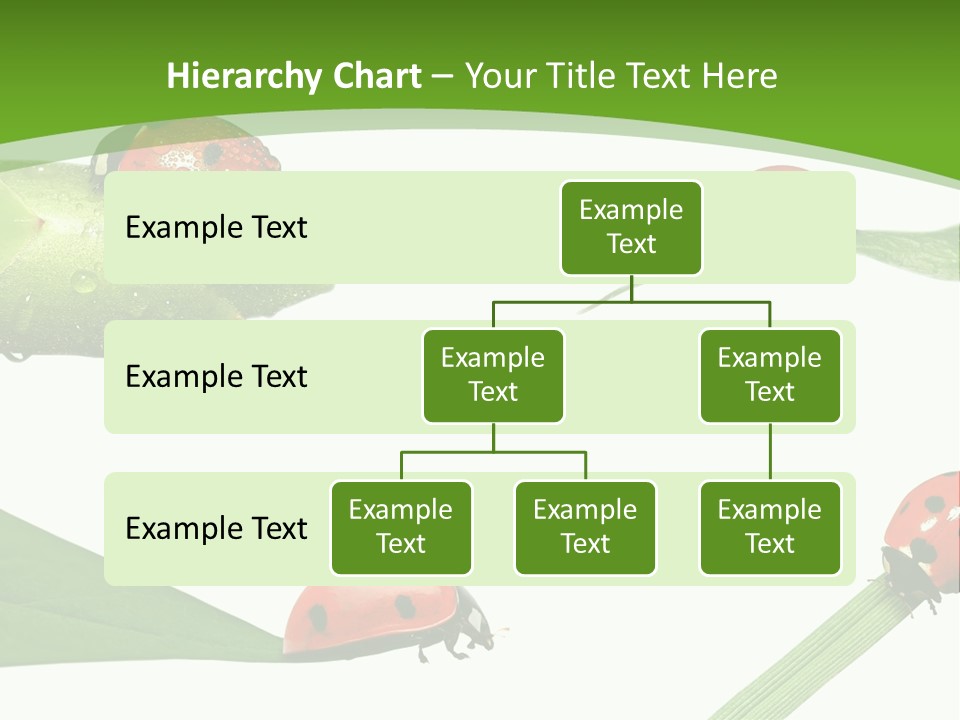 Decorate Fantasy Classic PowerPoint Template