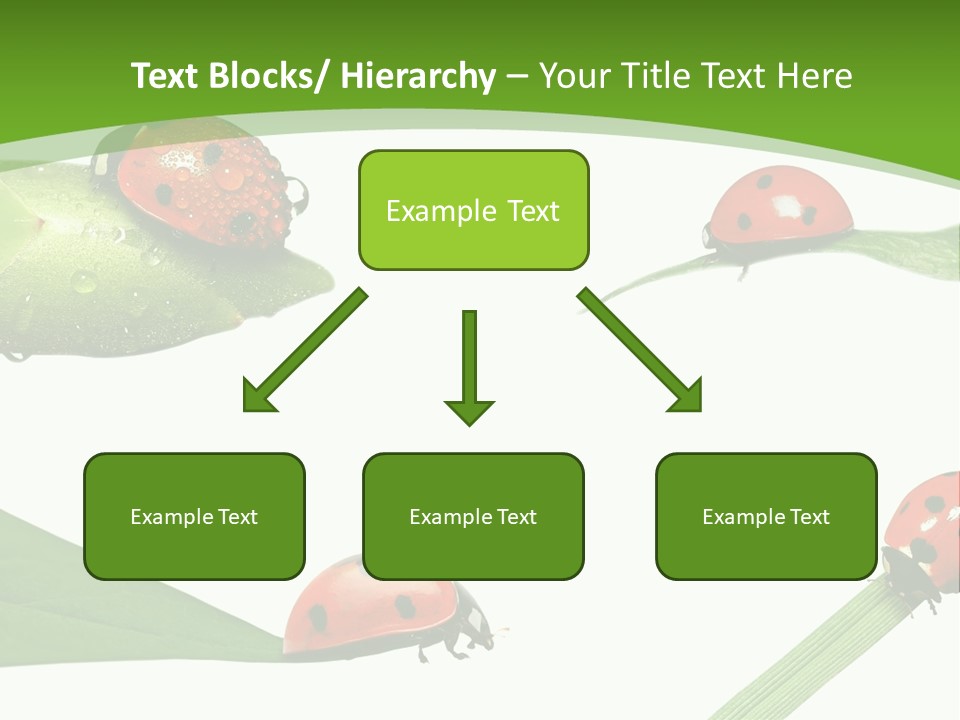 Decorate Fantasy Classic PowerPoint Template