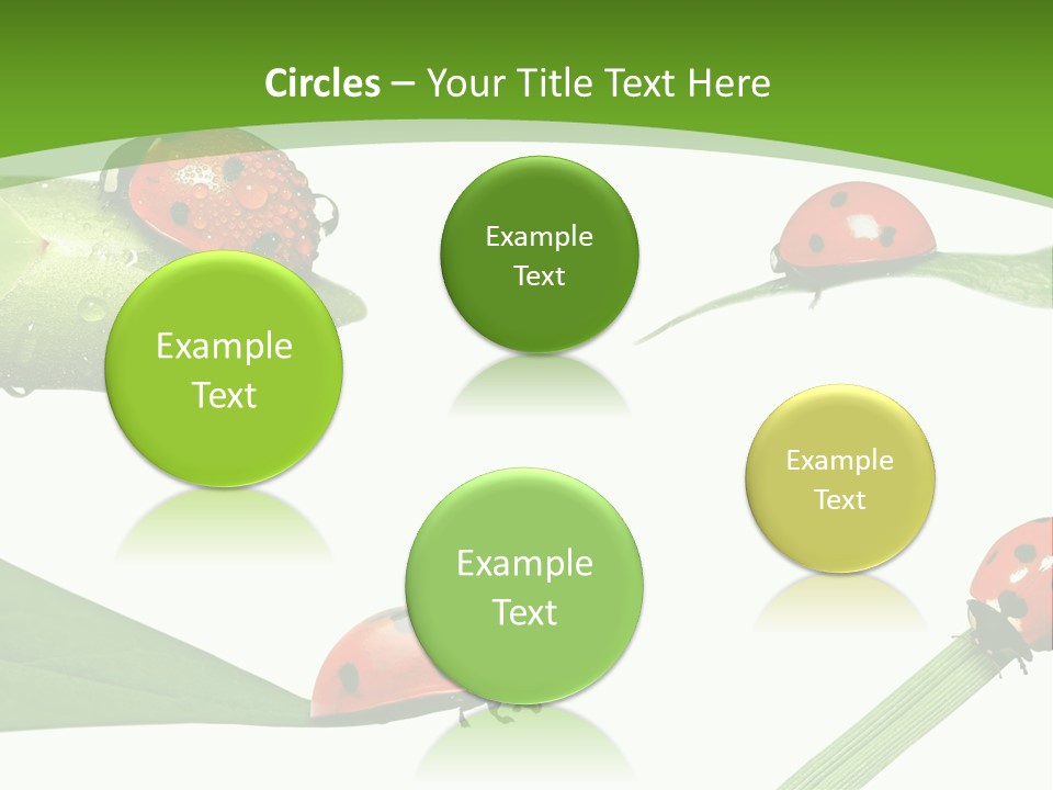 Decorate Fantasy Classic PowerPoint Template