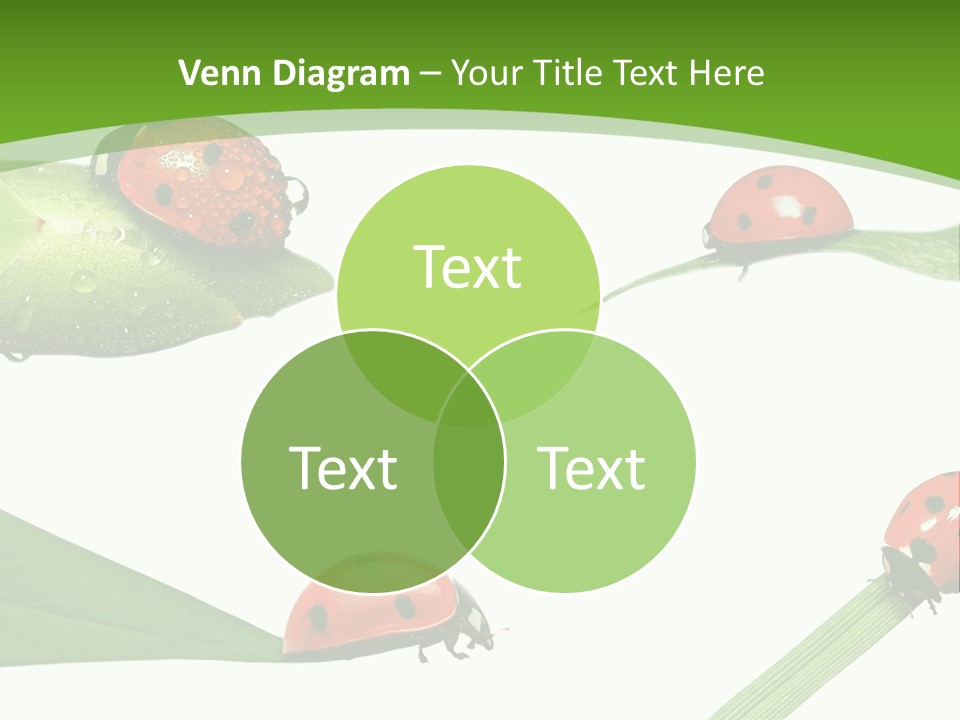 Decorate Fantasy Classic PowerPoint Template