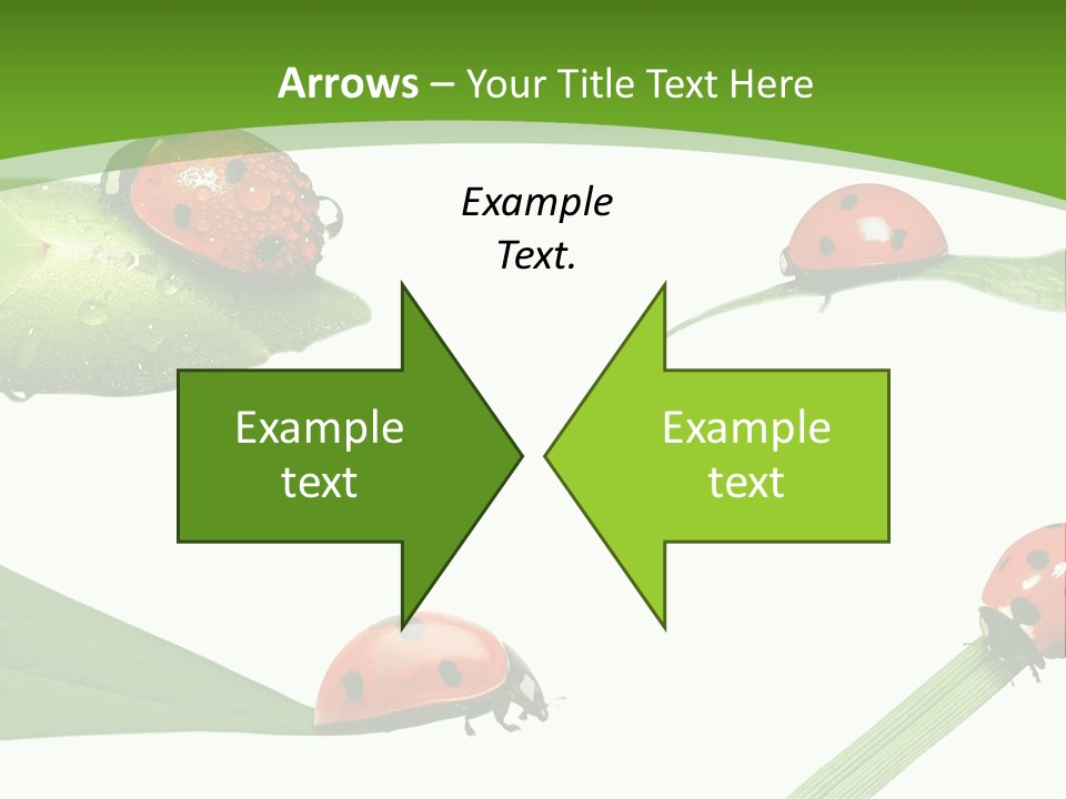 Decorate Fantasy Classic PowerPoint Template