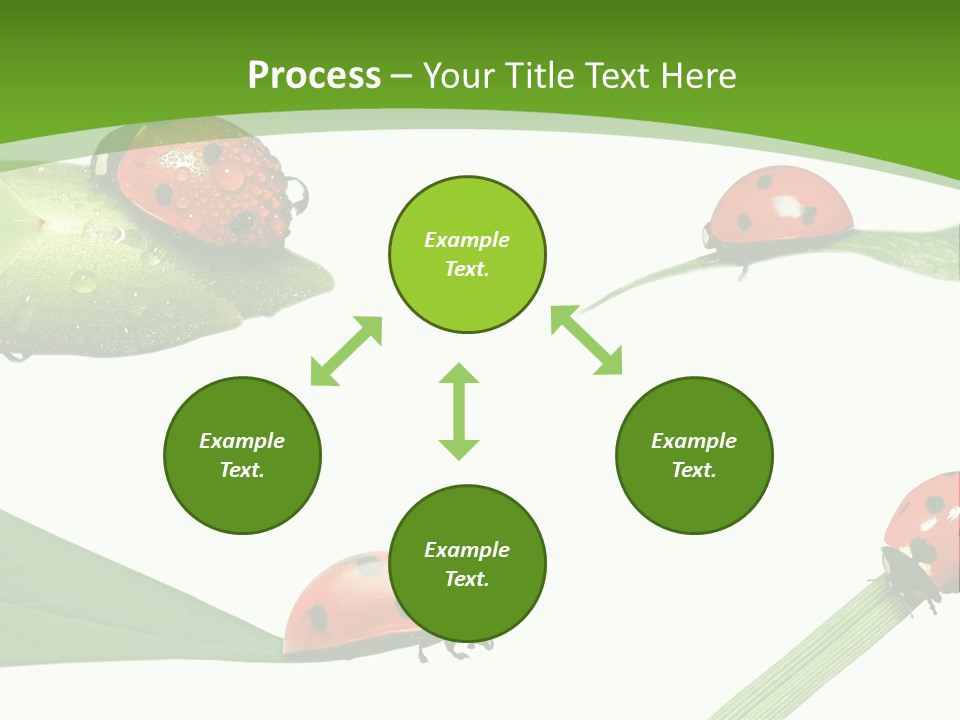 Decorate Fantasy Classic PowerPoint Template