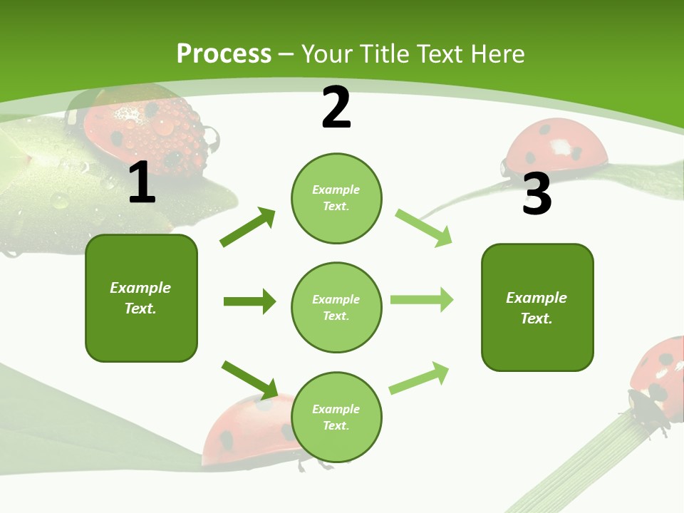 Decorate Fantasy Classic PowerPoint Template