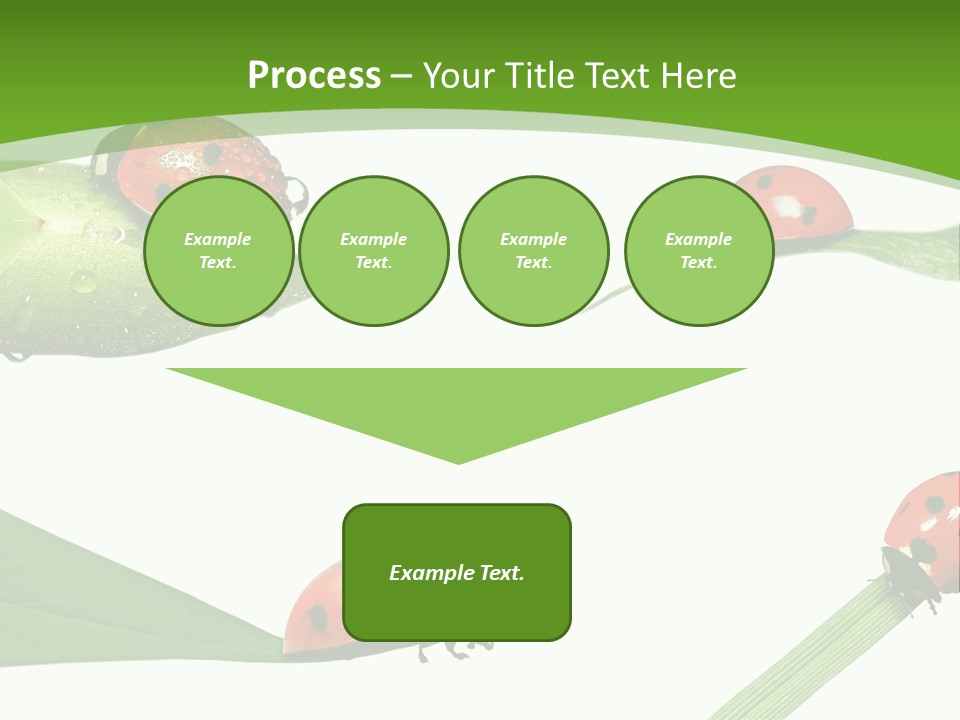 Decorate Fantasy Classic PowerPoint Template