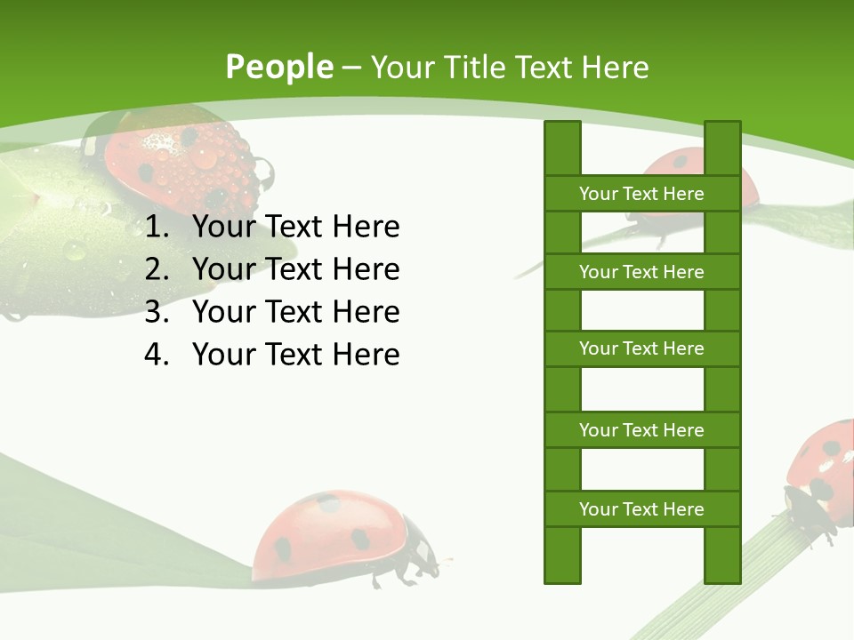 Decorate Fantasy Classic PowerPoint Template