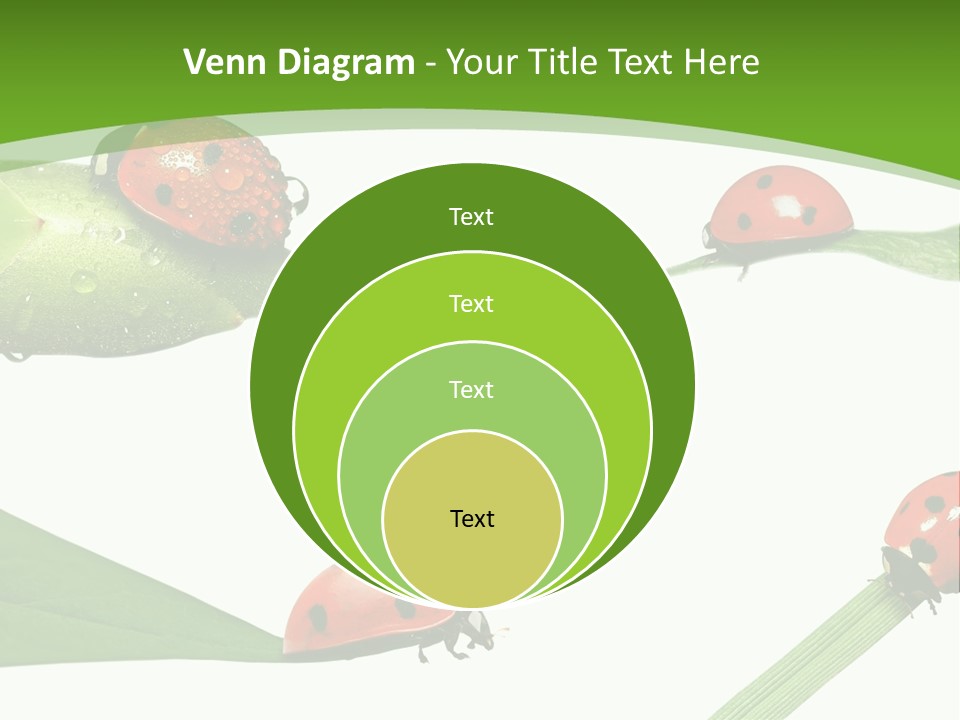 Decorate Fantasy Classic PowerPoint Template