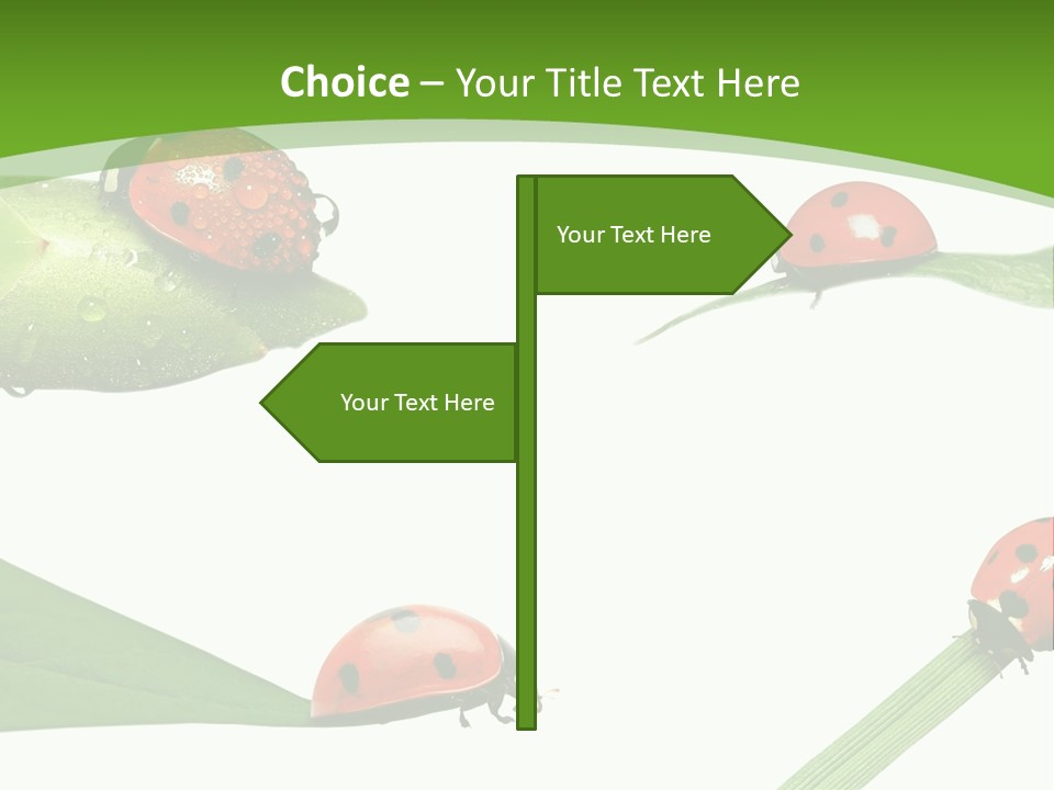 Decorate Fantasy Classic PowerPoint Template