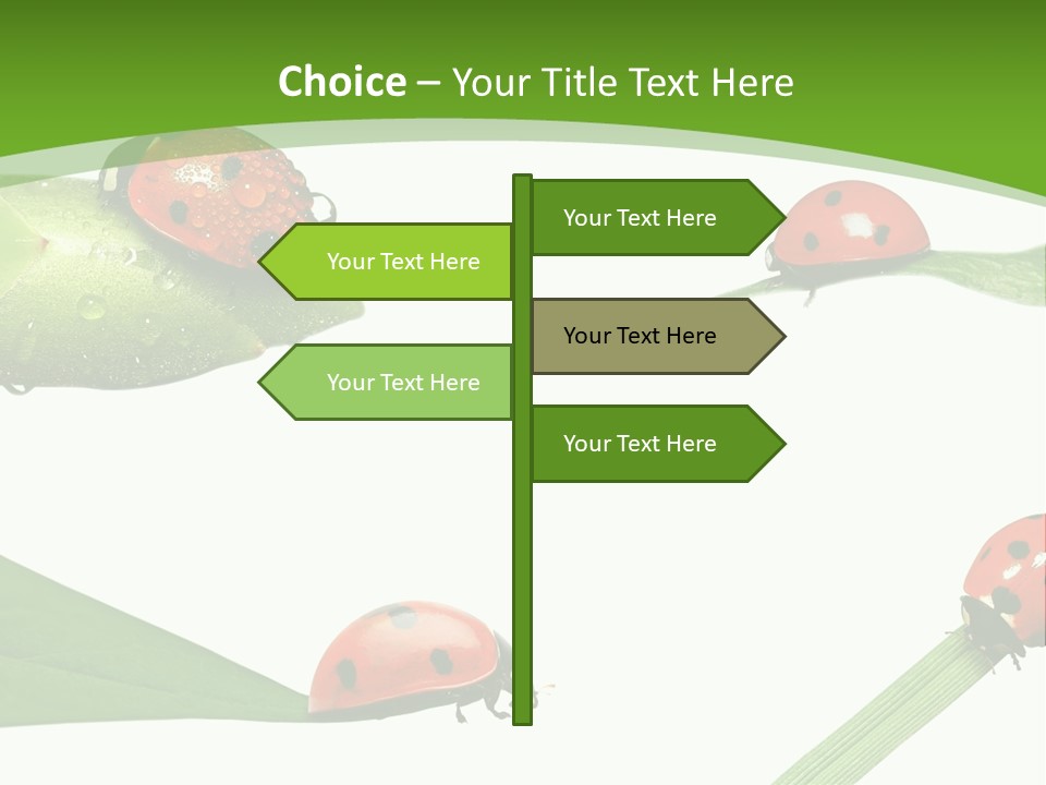 Decorate Fantasy Classic PowerPoint Template