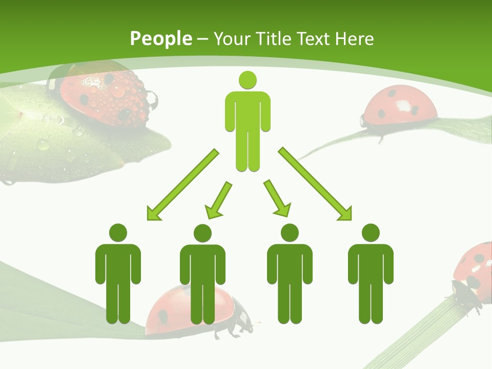 Decorate Fantasy Classic PowerPoint Template