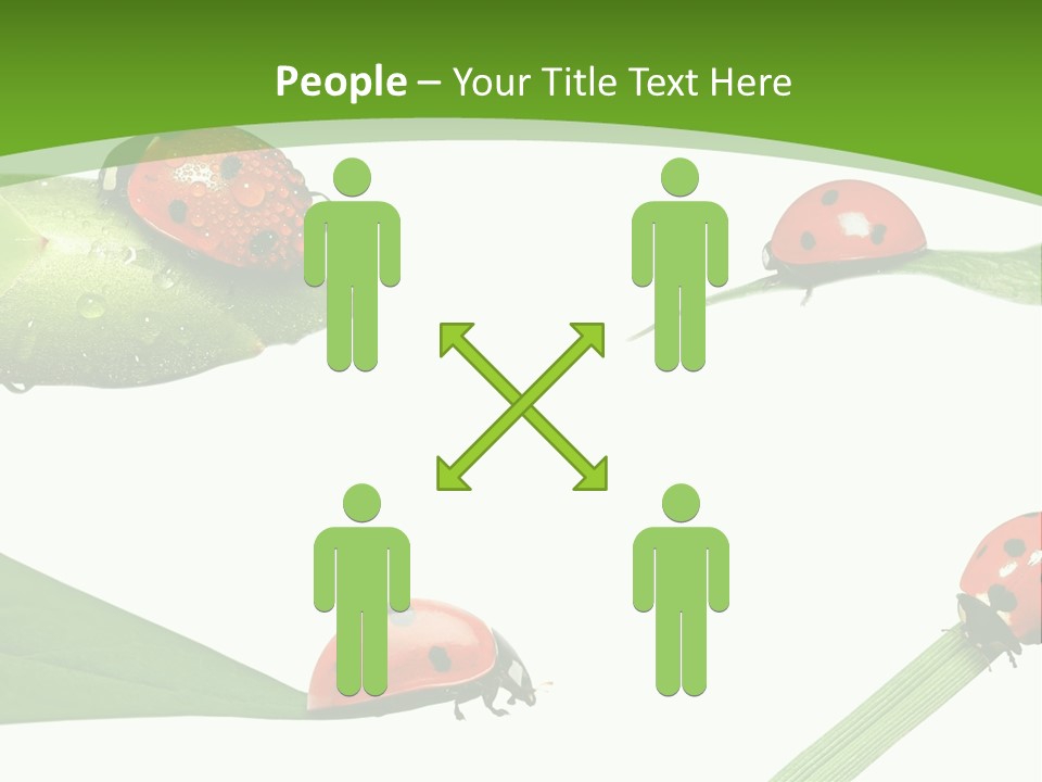 Decorate Fantasy Classic PowerPoint Template