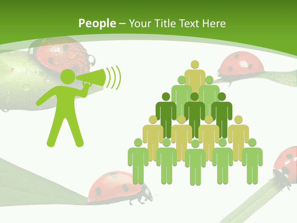 Decorate Fantasy Classic PowerPoint Template