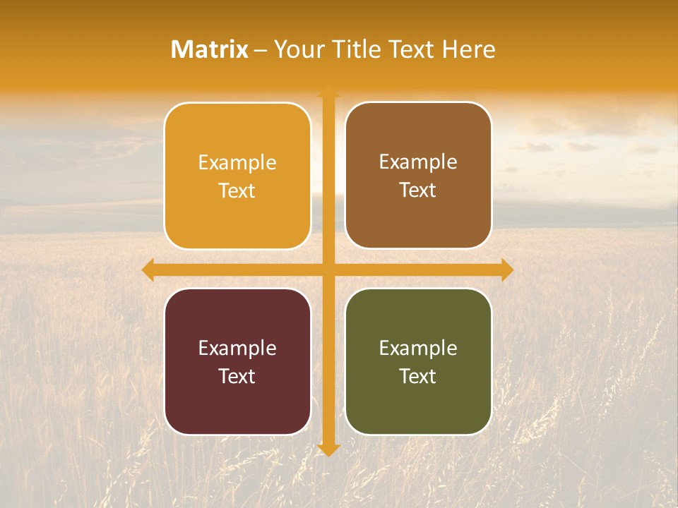 Design Card Beauty PowerPoint Template