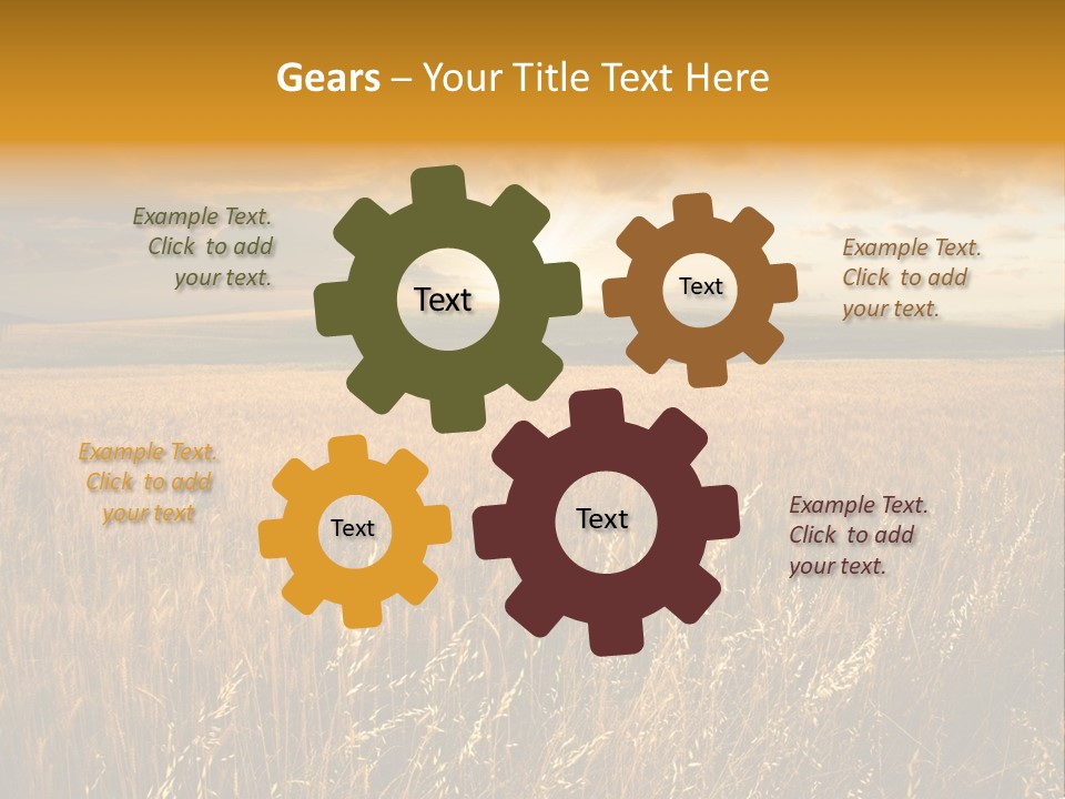 Design Card Beauty PowerPoint Template