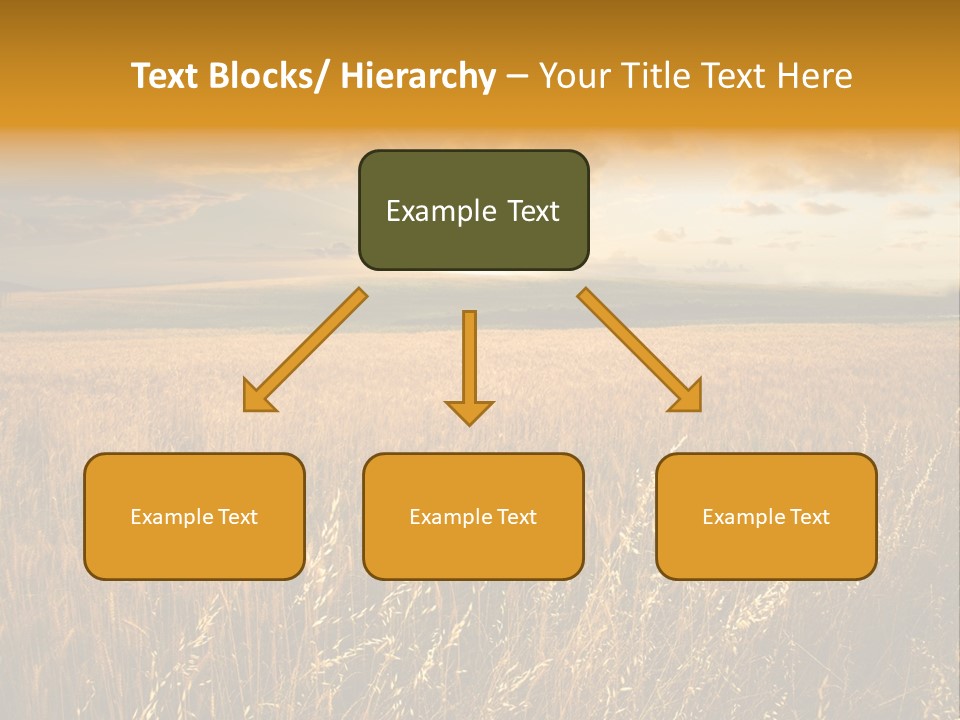 Design Card Beauty PowerPoint Template