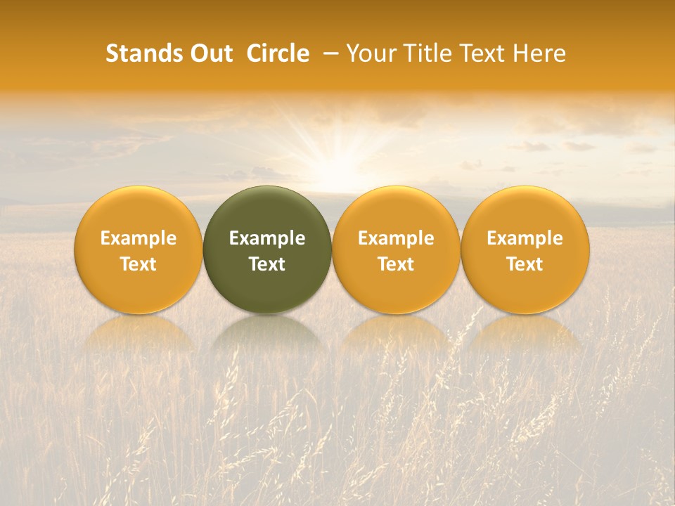 Design Card Beauty PowerPoint Template