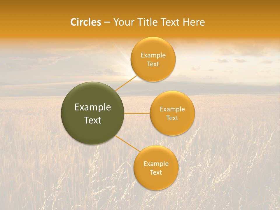 Design Card Beauty PowerPoint Template