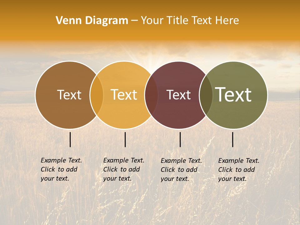 Design Card Beauty PowerPoint Template