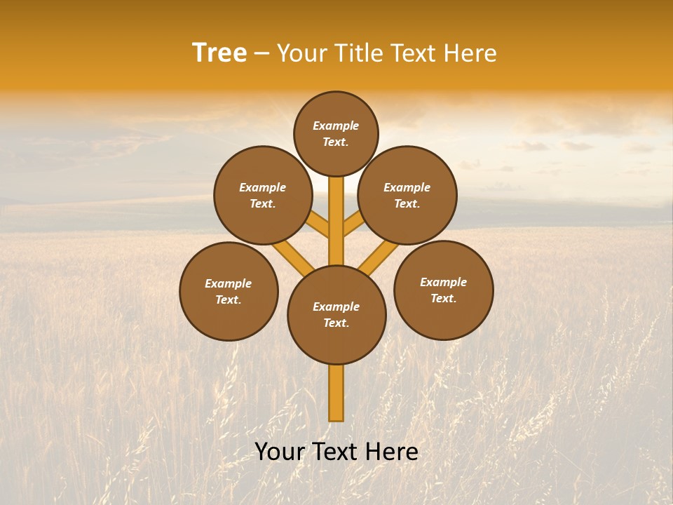 Design Card Beauty PowerPoint Template