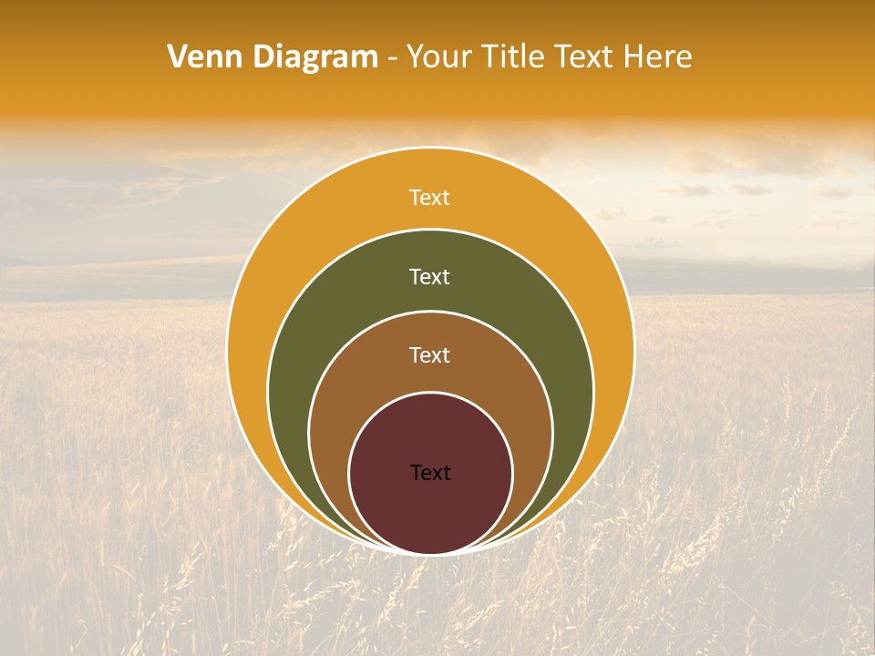 Design Card Beauty PowerPoint Template